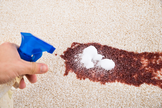 Stain and Odor Removal