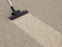 Professional carpet cleaning